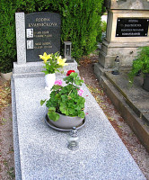 /album/jednohroby/javor-jpg/